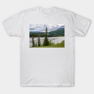 Nenana in Denali T-Shirt